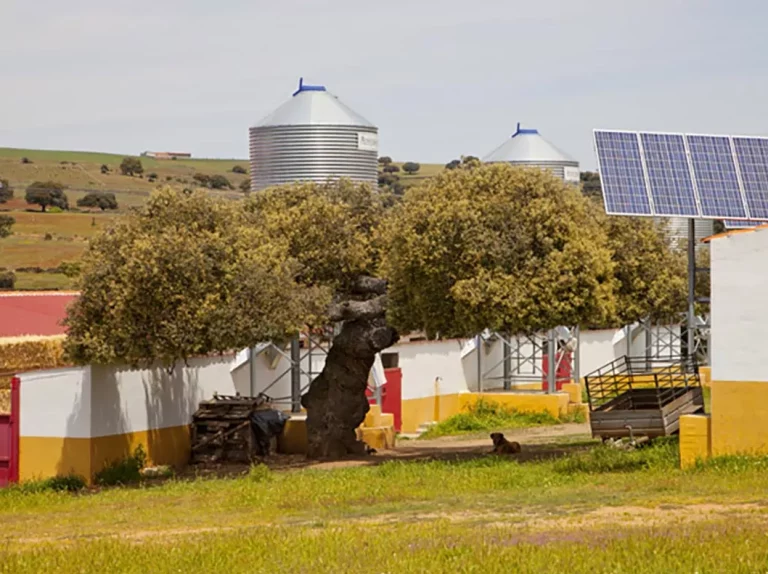 Cespedosa de Tormes Para Granja Porcina 280 kWp e1730110751512